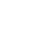 Lightbulb Book Icon White