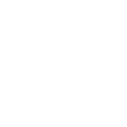 Rice Bowl Icon White